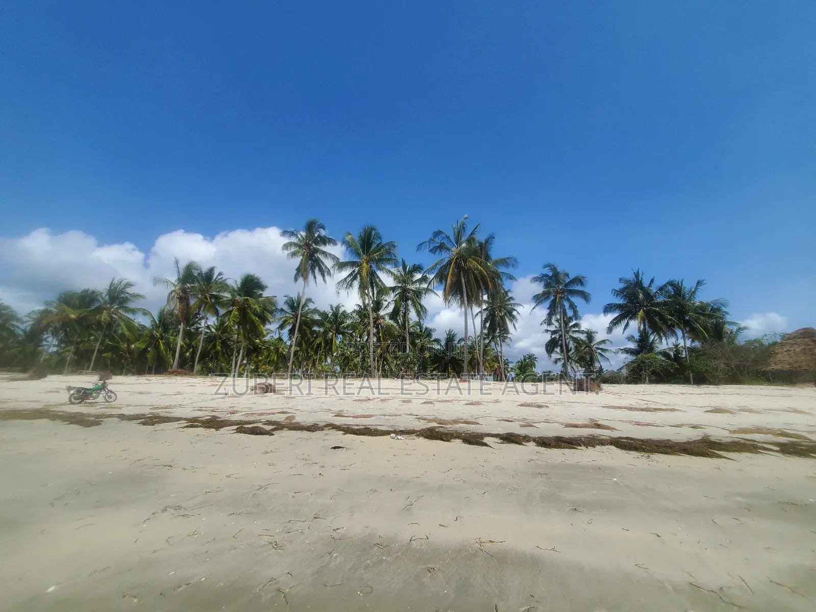 Amaizing Beach Plot on Sale Sange Pangani in Mkwaja
