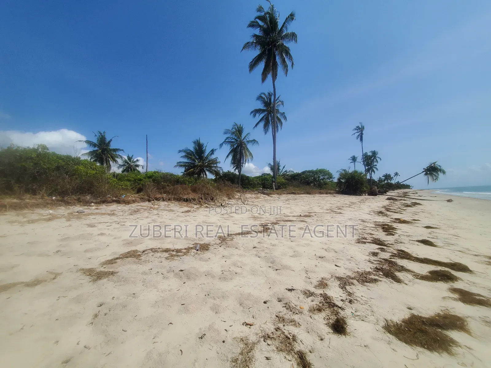 Amaizing Beach Plot on Sale Sange Pangani in Mkwaja