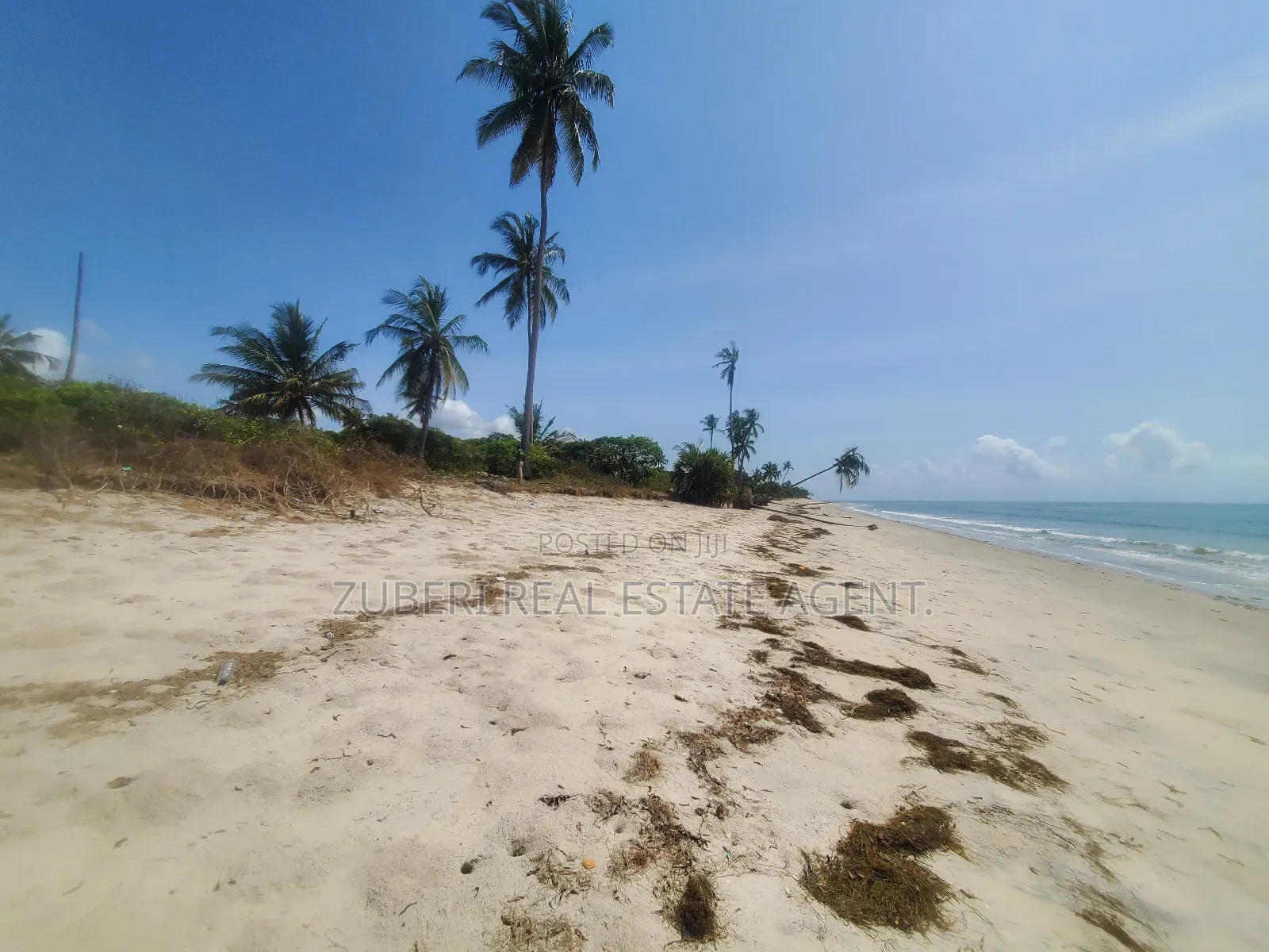 Amaizing Beach Plot on Sale Sange Pangani in Mkwaja