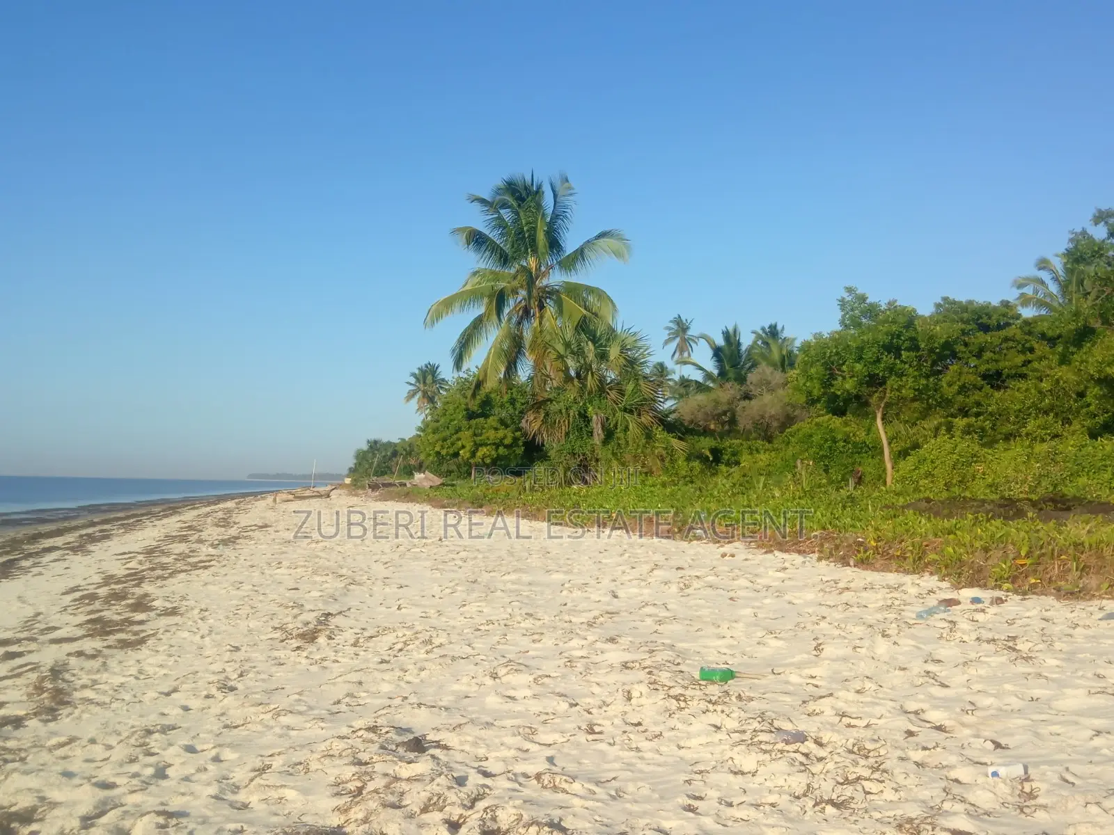 Beach Plot on Sale Stahabu Pwani Pangani . in Pangani