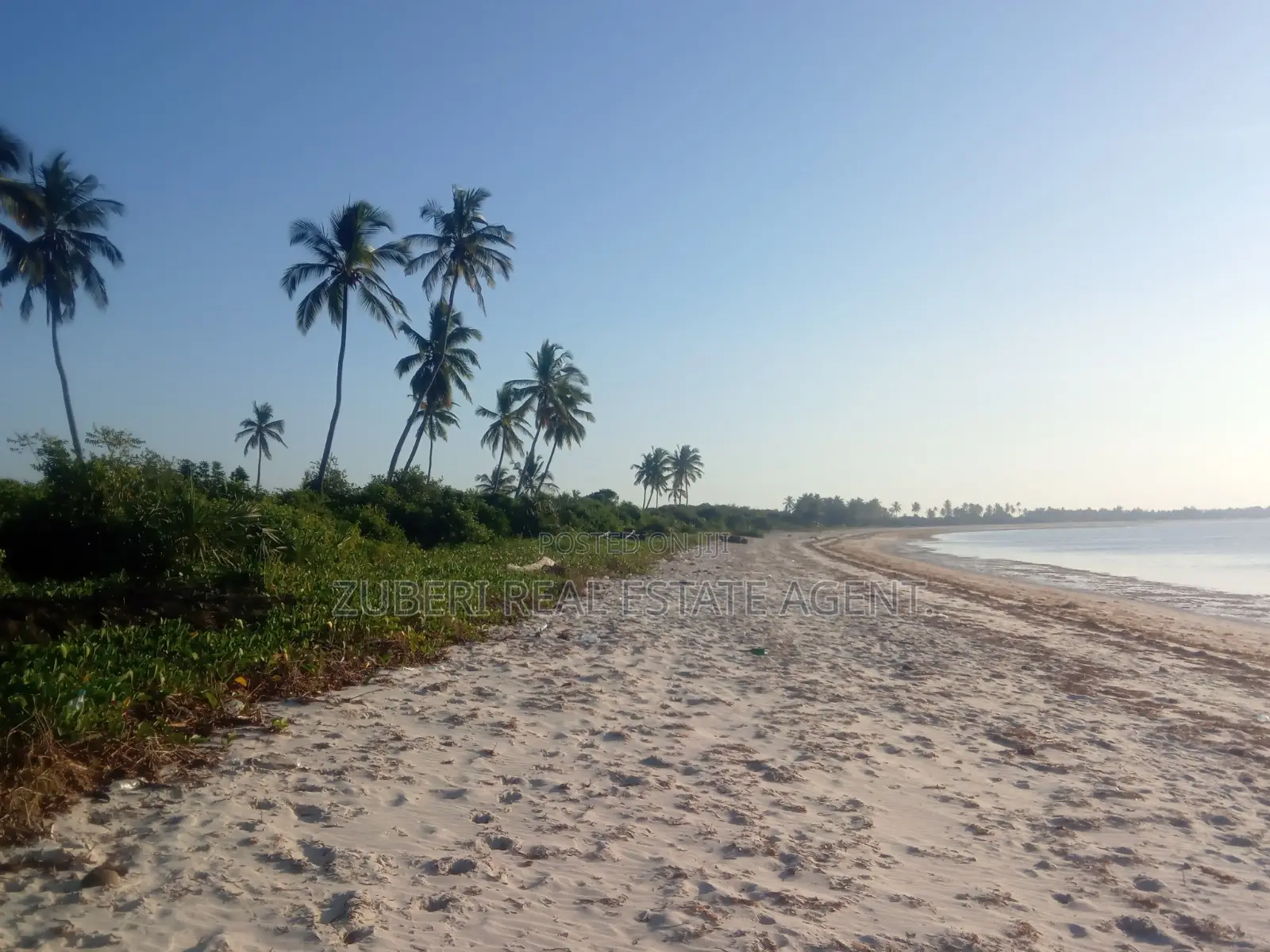 Beach Plot on Sale Stahabu Pwani Pangani . in Pangani
