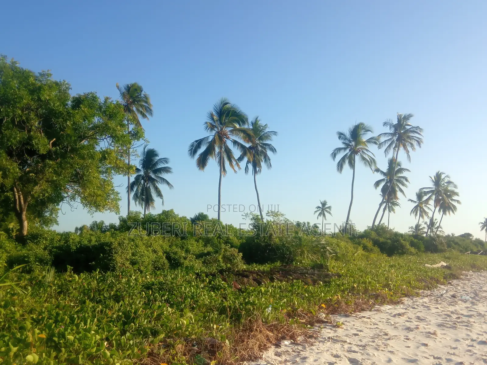 Beach Plot on Sale Stahabu Pwani Pangani . in Pangani