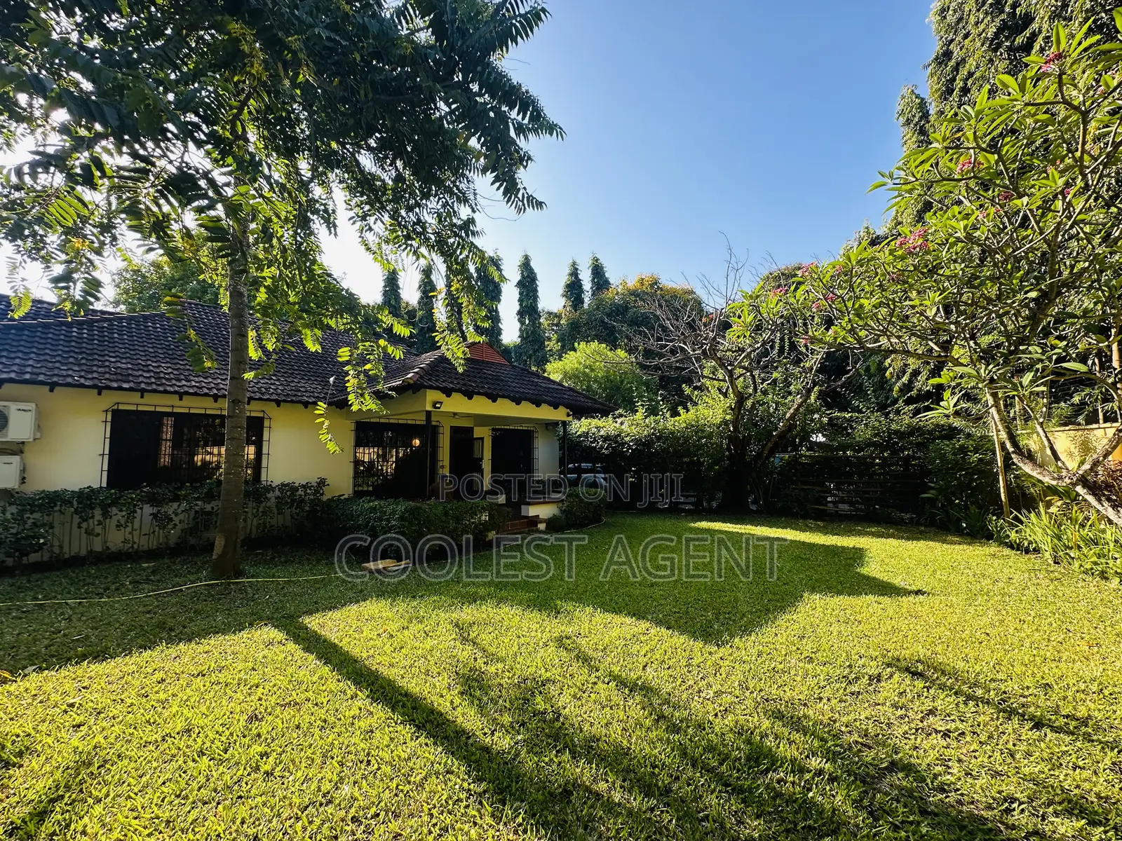 4bdrm House in Oysterbay, Kinondoni for rent in Kinondoni