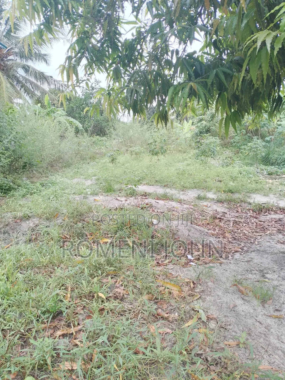 Kiwanja Sqmita 150 Kinauzwa Milioni 3.8 Majohe Viwege. in Ilala