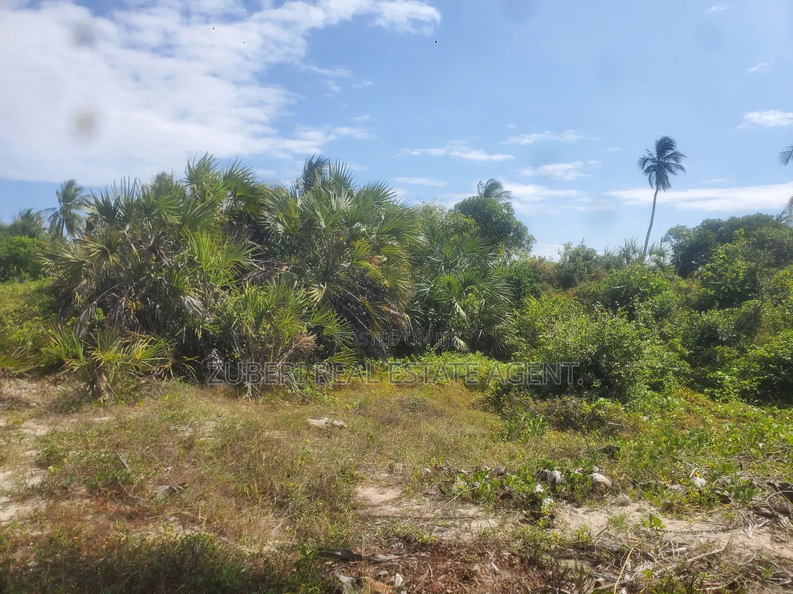 Ushongo the Heart of Pangani Beach Plot on Sale. in Mwera