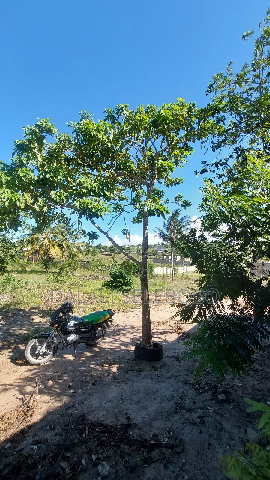 Plot 1hecta At Goba Kulangwa in Goba