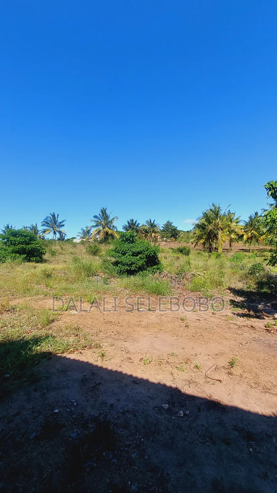Plot 1hecta At Goba Kulangwa in Goba