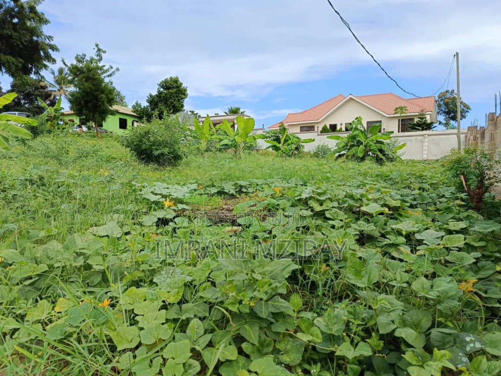 Madale Big Plot Sale at 55000sqmts in Goba