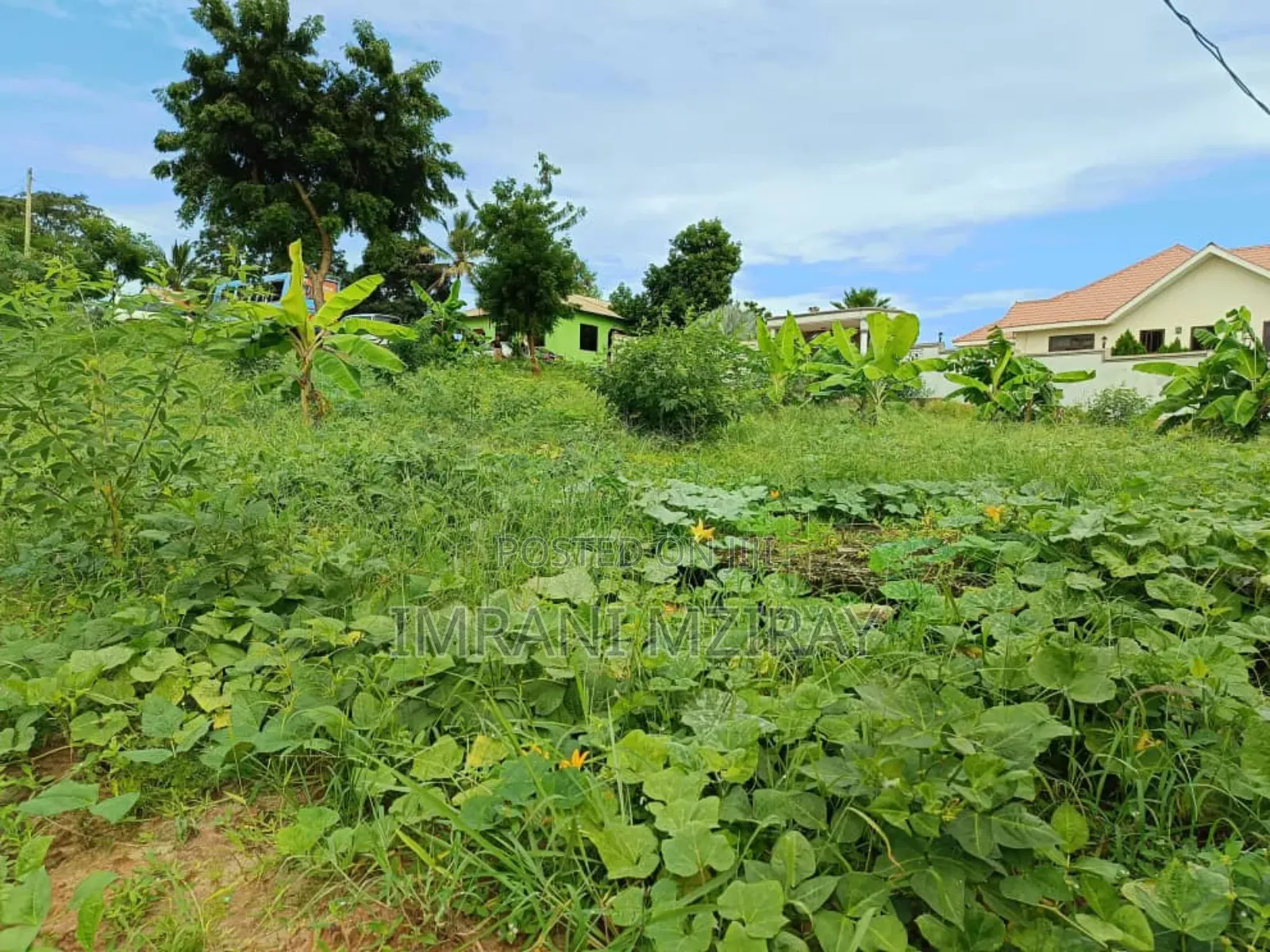 Madale Big Plot Sale at 55000sqmts in Goba