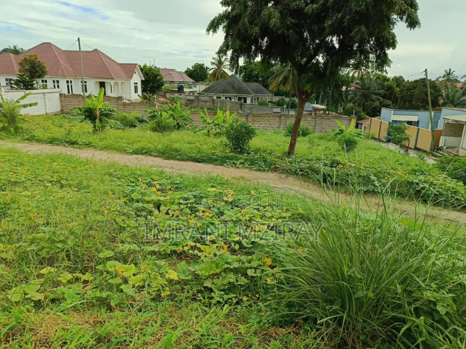 Madale Big Plot Sale at 55000sqmts in Goba