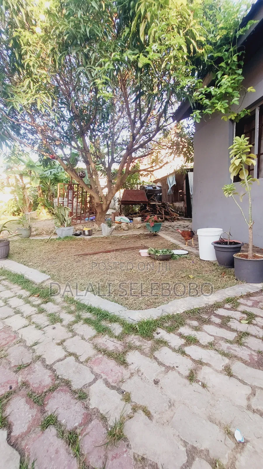 6bdrm Bungalow in Salasala Kilima Hewa, Kinondoni for sale in Kinondoni