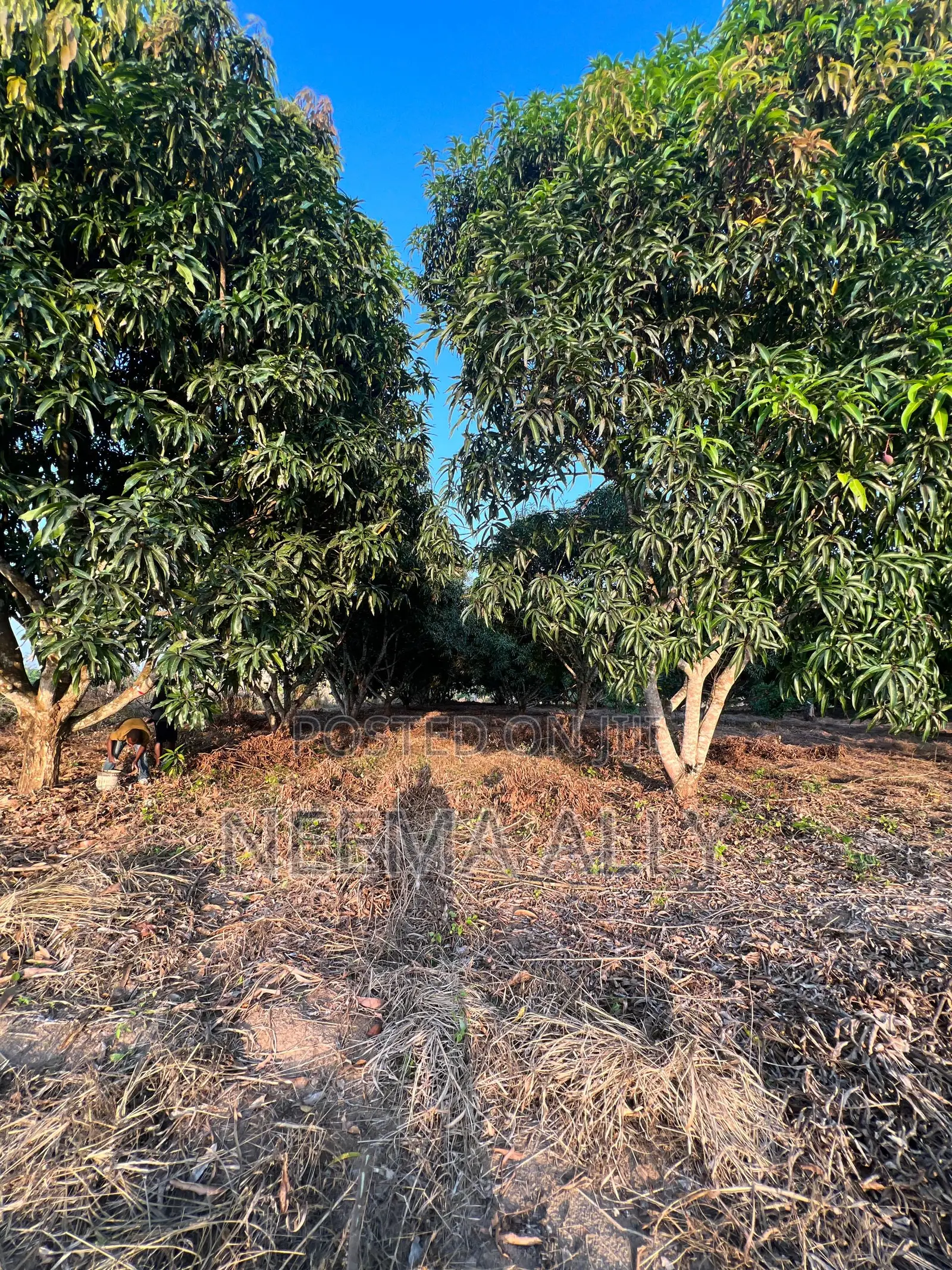Viwanja Kibaha Karibu Na Barabara Kuu in Kibaha