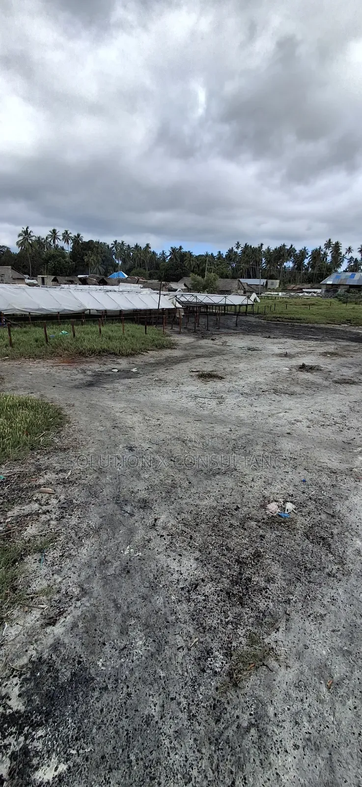 Beach Plot for Sale at Kilindoni Mafia in Mafia Island