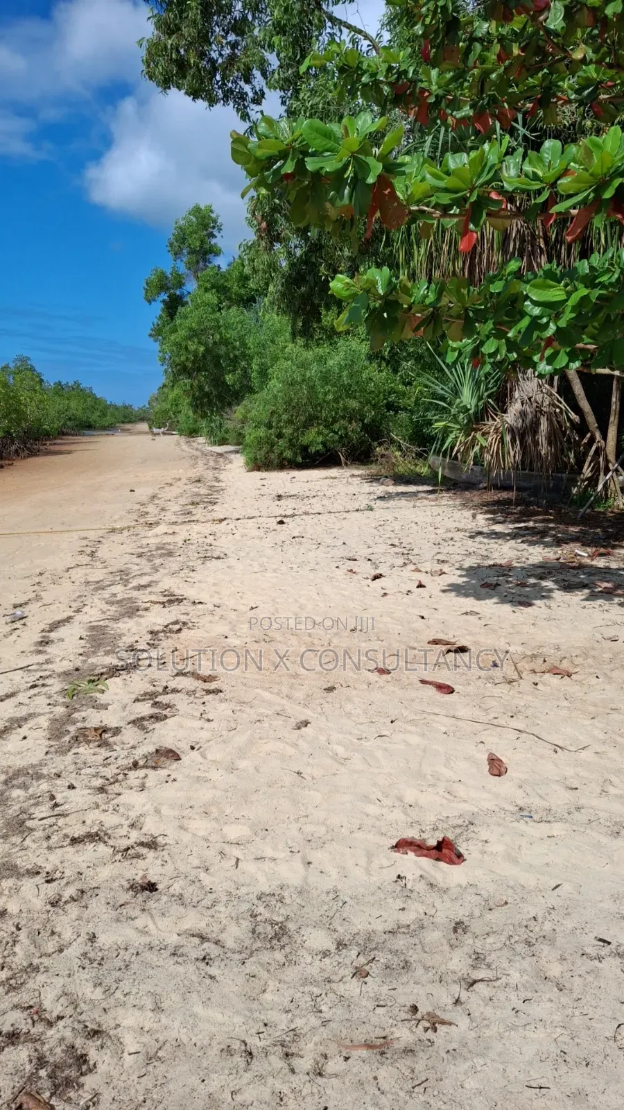 Beach Plot for Sale at Mafia Kilindoni in Mafia Island