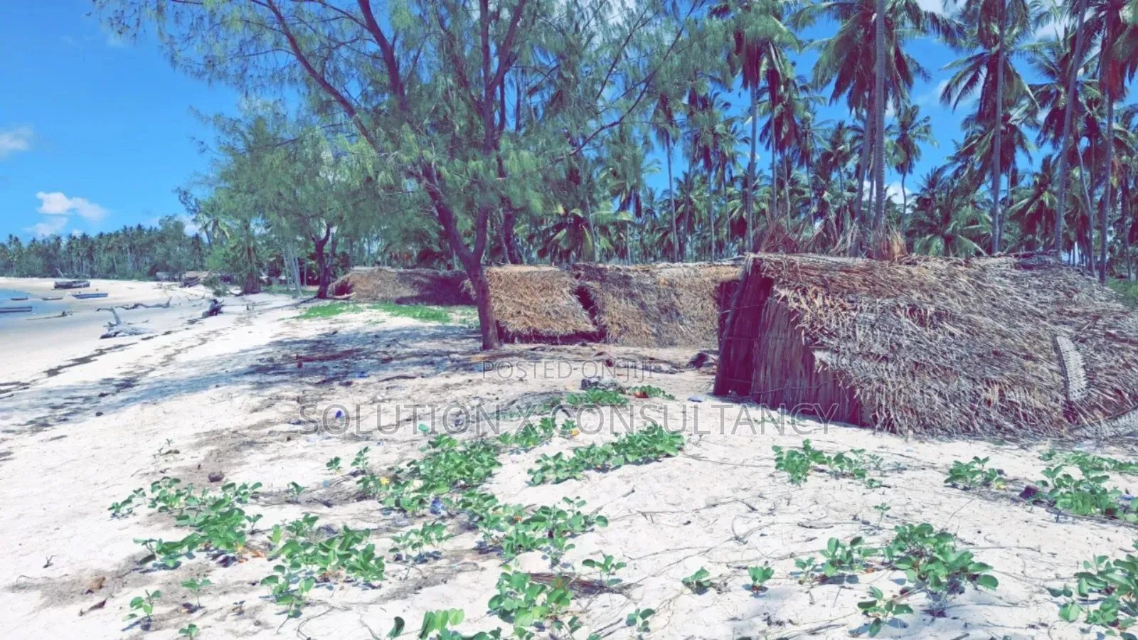 Beach Plot for Sale at Banja Mafia Island in Mafia Island