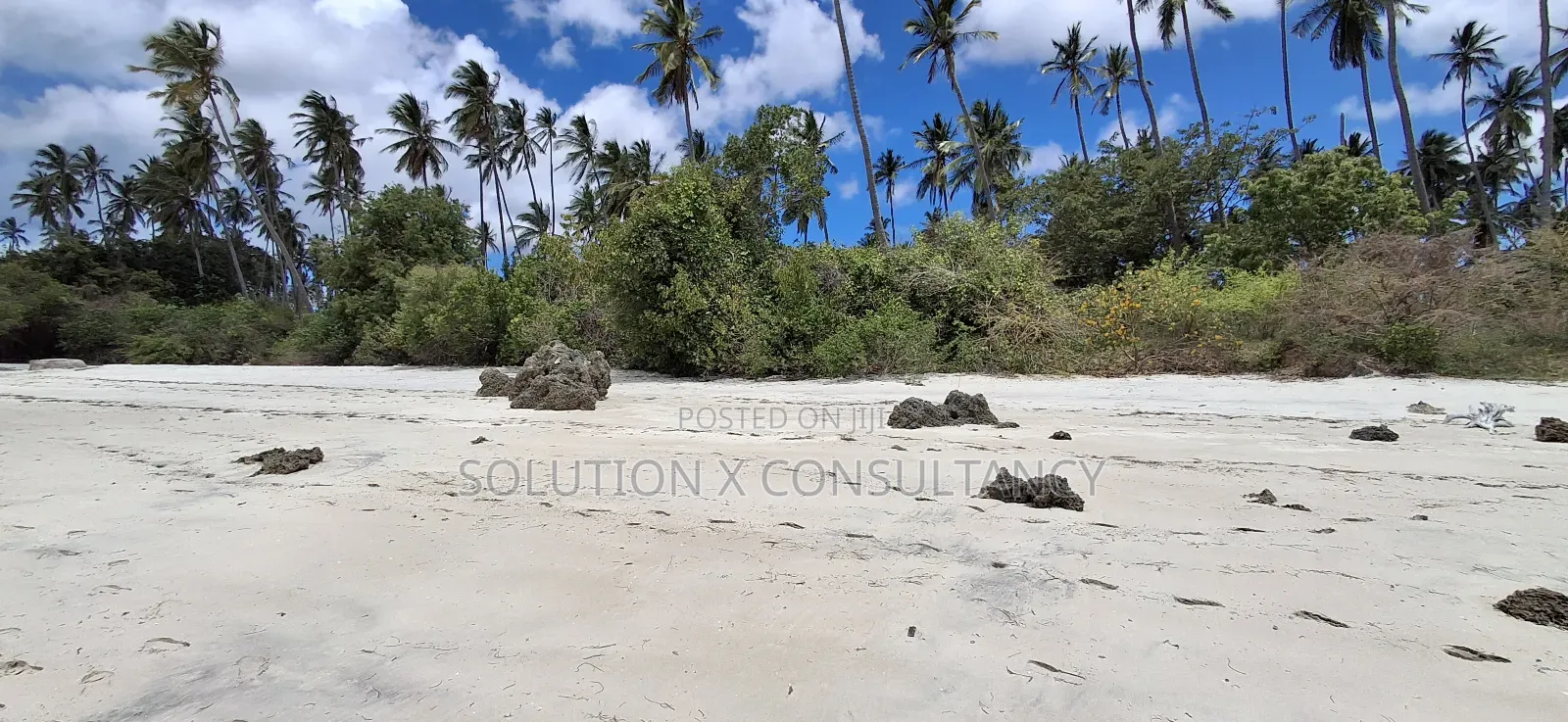 Beach Front for Sale at Mafia Island- Jojo in Mafia Island