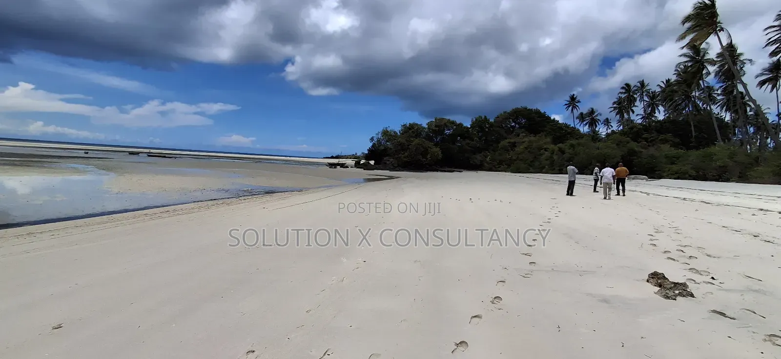 Beach Front for Sale at Mafia Island- Jojo in Mafia Island