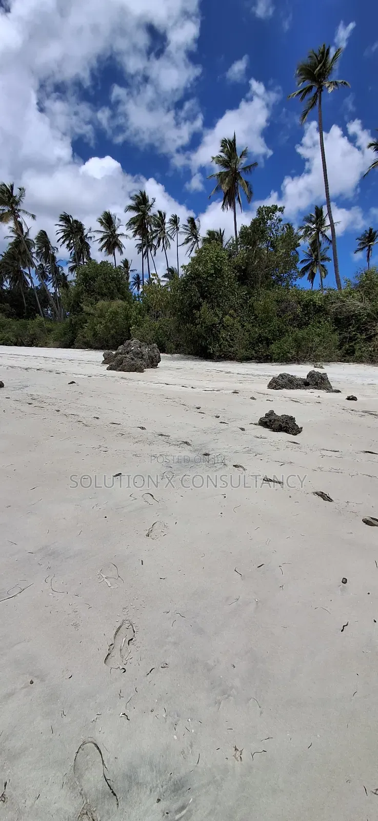 Beach Front for Sale at Mafia Island- Jojo in Mafia Island