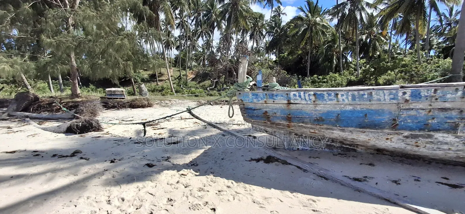 Beach Plot for Sale at Mafia Kitoni in Mafia Island
