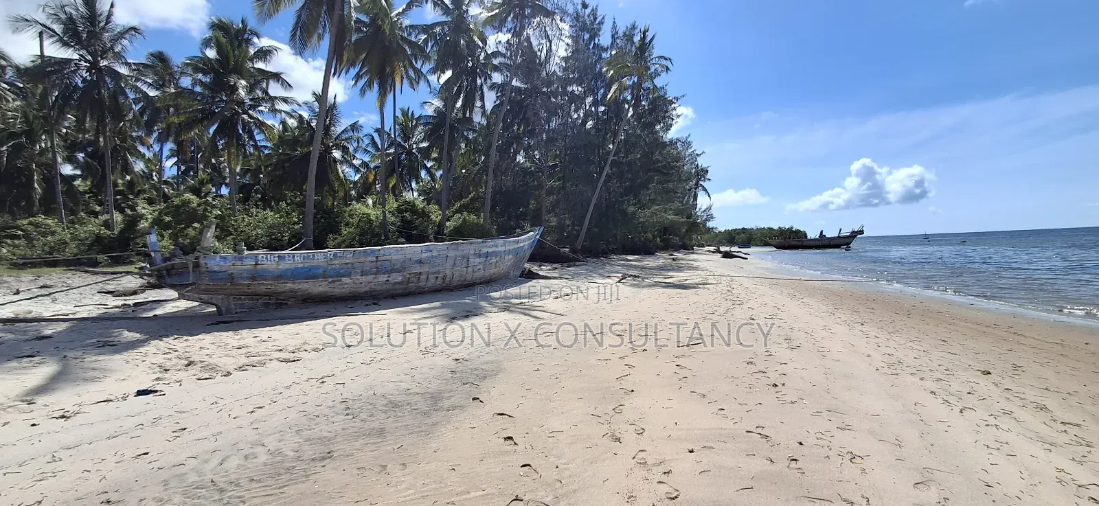 Beach Plot for Sale at Mafia Kitoni in Mafia Island