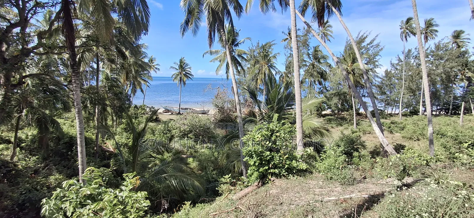 Beach Plot for Sale at Mafia Kitoni in Mafia Island