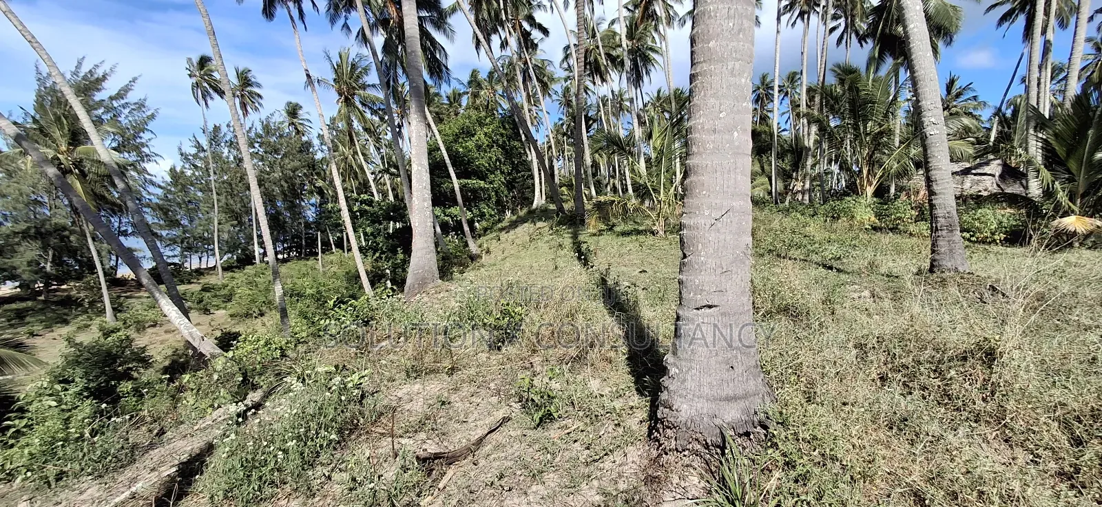 Beach Plot for Sale at Mafia Kitoni in Mafia Island