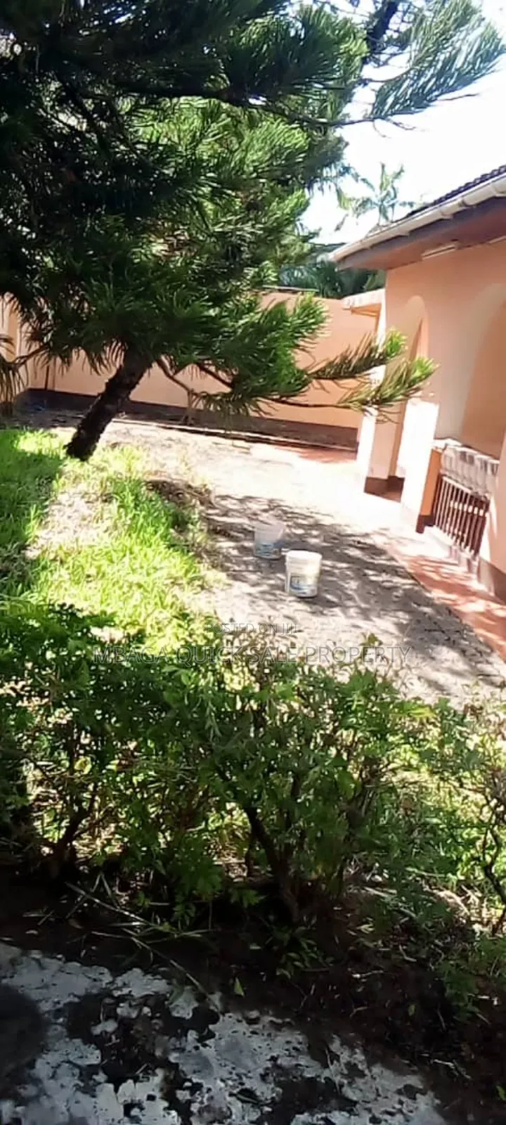 3bdrm House in Mikocheni Rose for rent in Mikocheni