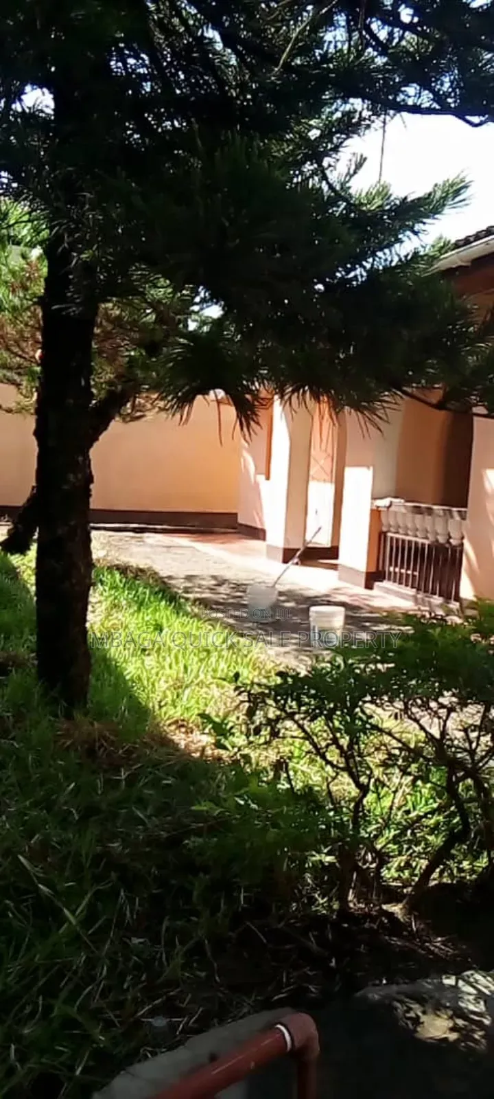 3bdrm House in Mikocheni Rose for rent in Mikocheni