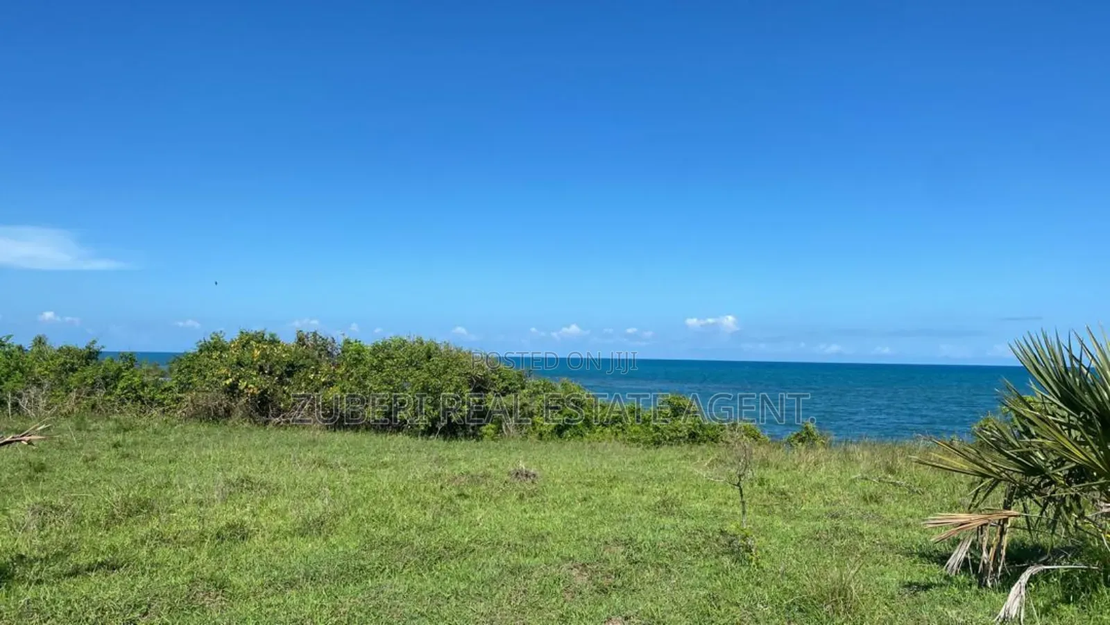 Beach Cliff on Sale Mkoma Bay Pangani . in Kimang'a
