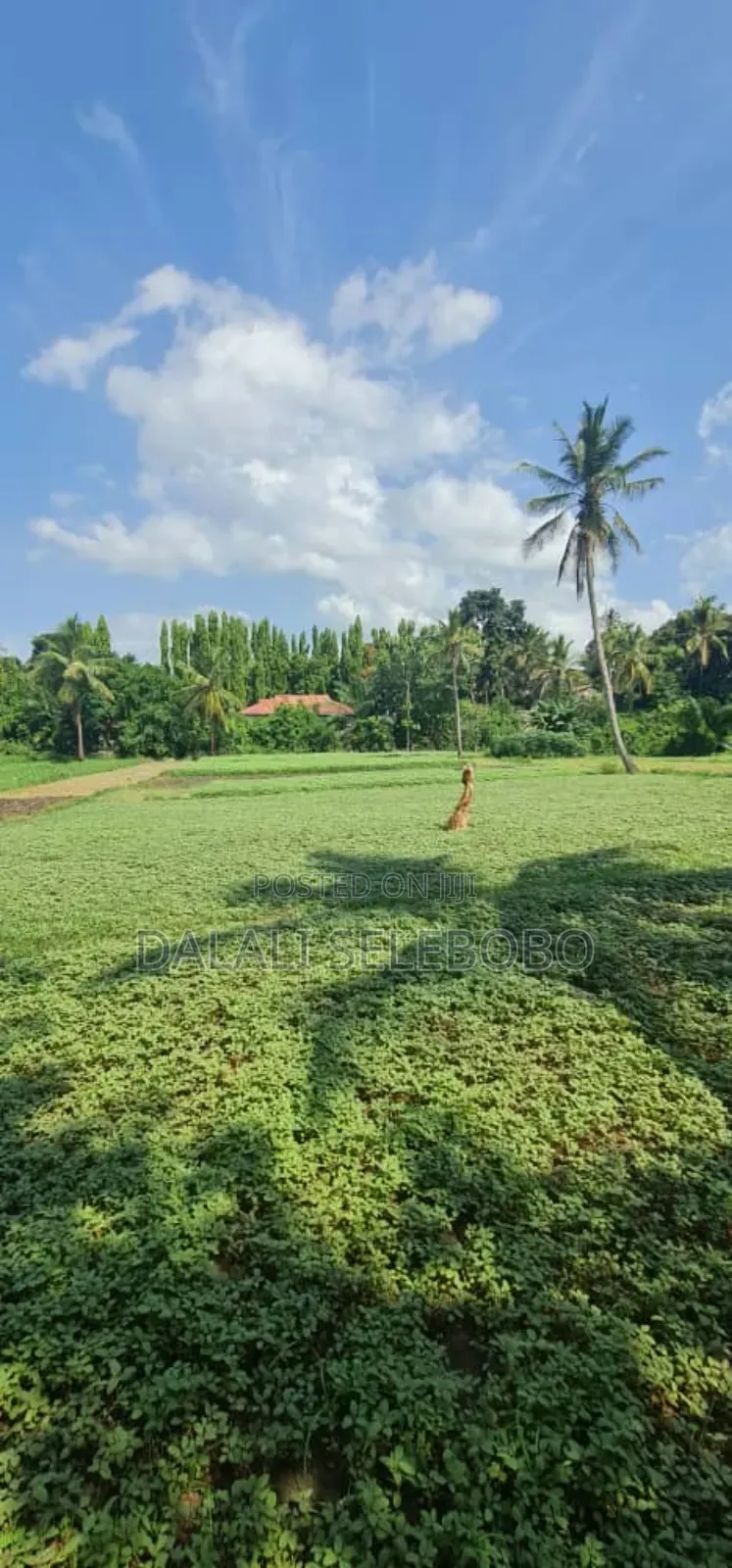 Plot 2hecter at Kiluvya Kwa Komba in Kiluvya