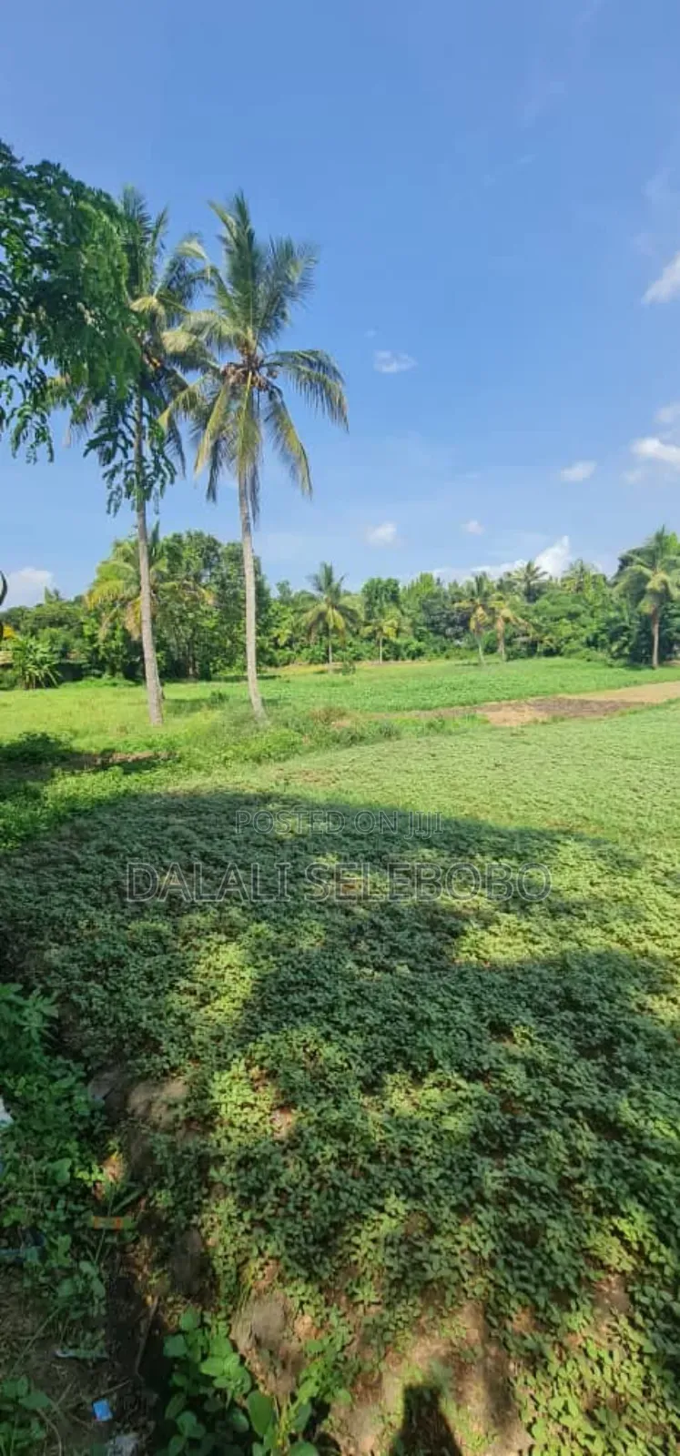 Plot 2hecter at Kiluvya Kwa Komba in Kiluvya