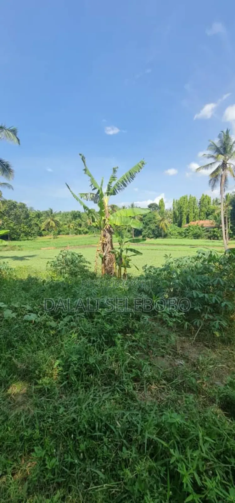 Plot 2hecter at Kiluvya Kwa Komba in Kiluvya