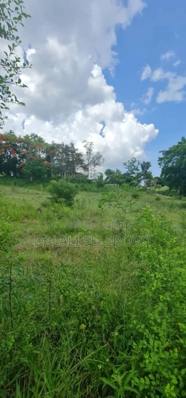 Plot Heka2.5 at Kibaha in Kibaha