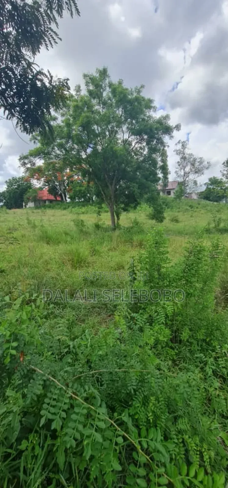 Plot Heka2.5 at Kibaha in Kibaha