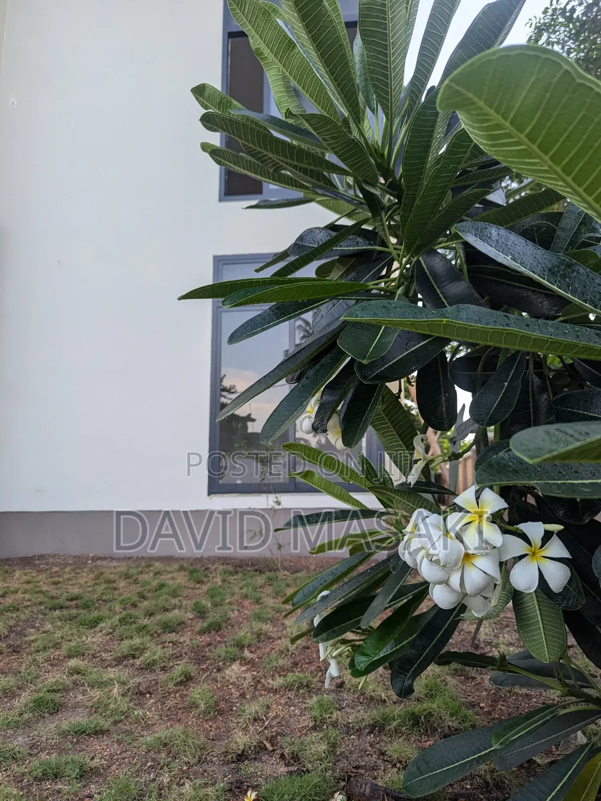 Furnished 2bdrm Apartment in Bright Homes, Oyster Bay for rent in Oyster Bay