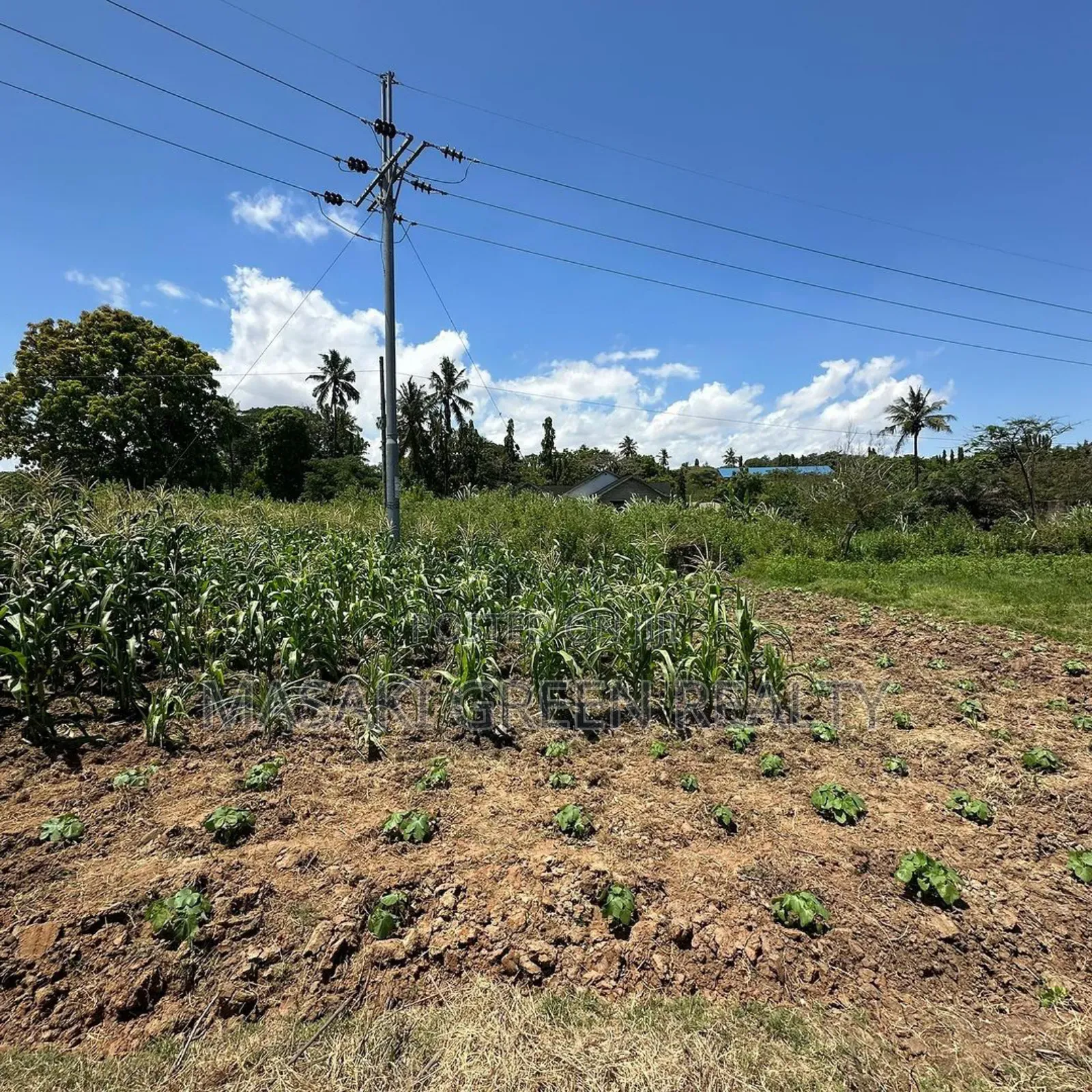 Plot for Sale at Salasala IPTL in Kinondoni