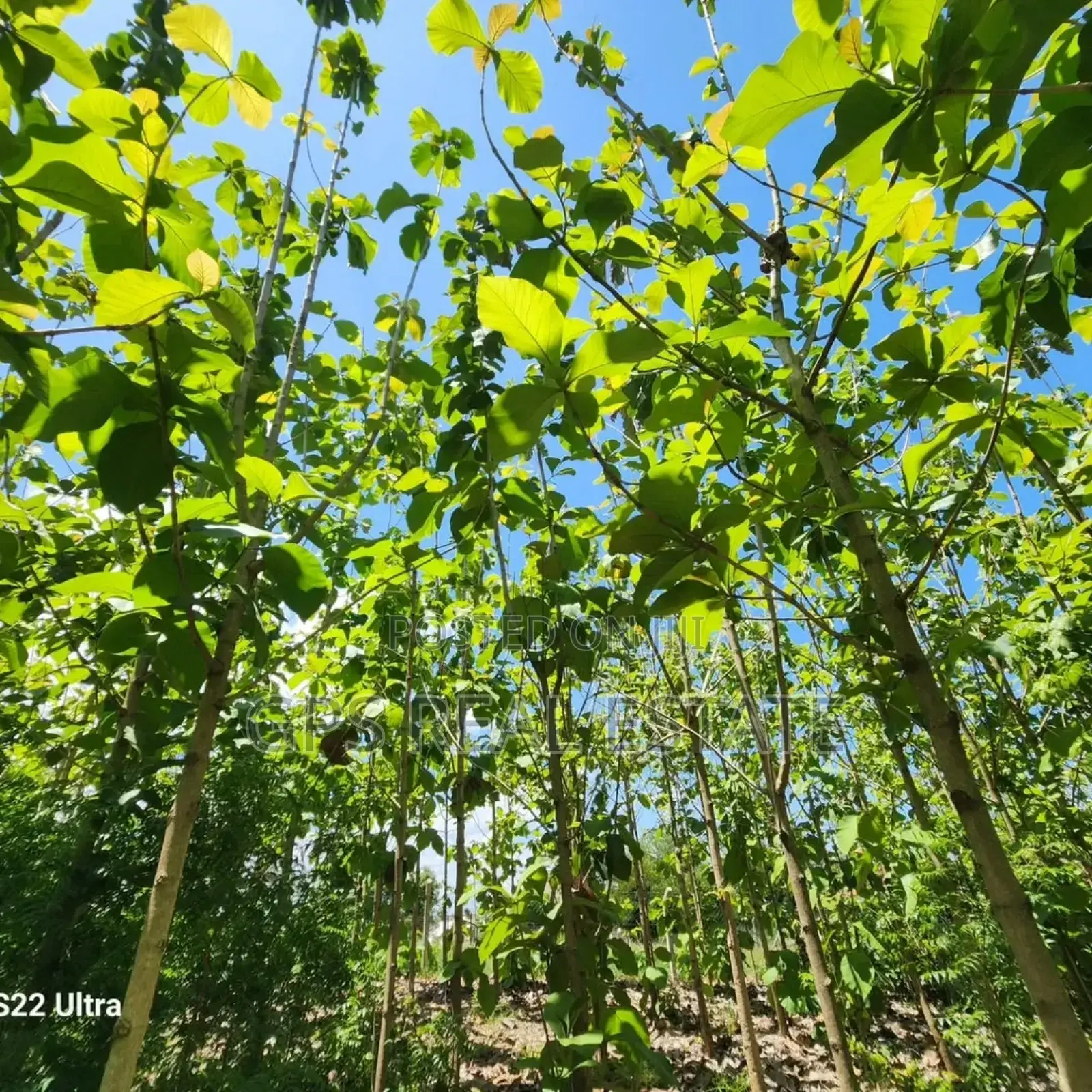 Plot for Sale at Salasala Kinzudi in Kinondoni