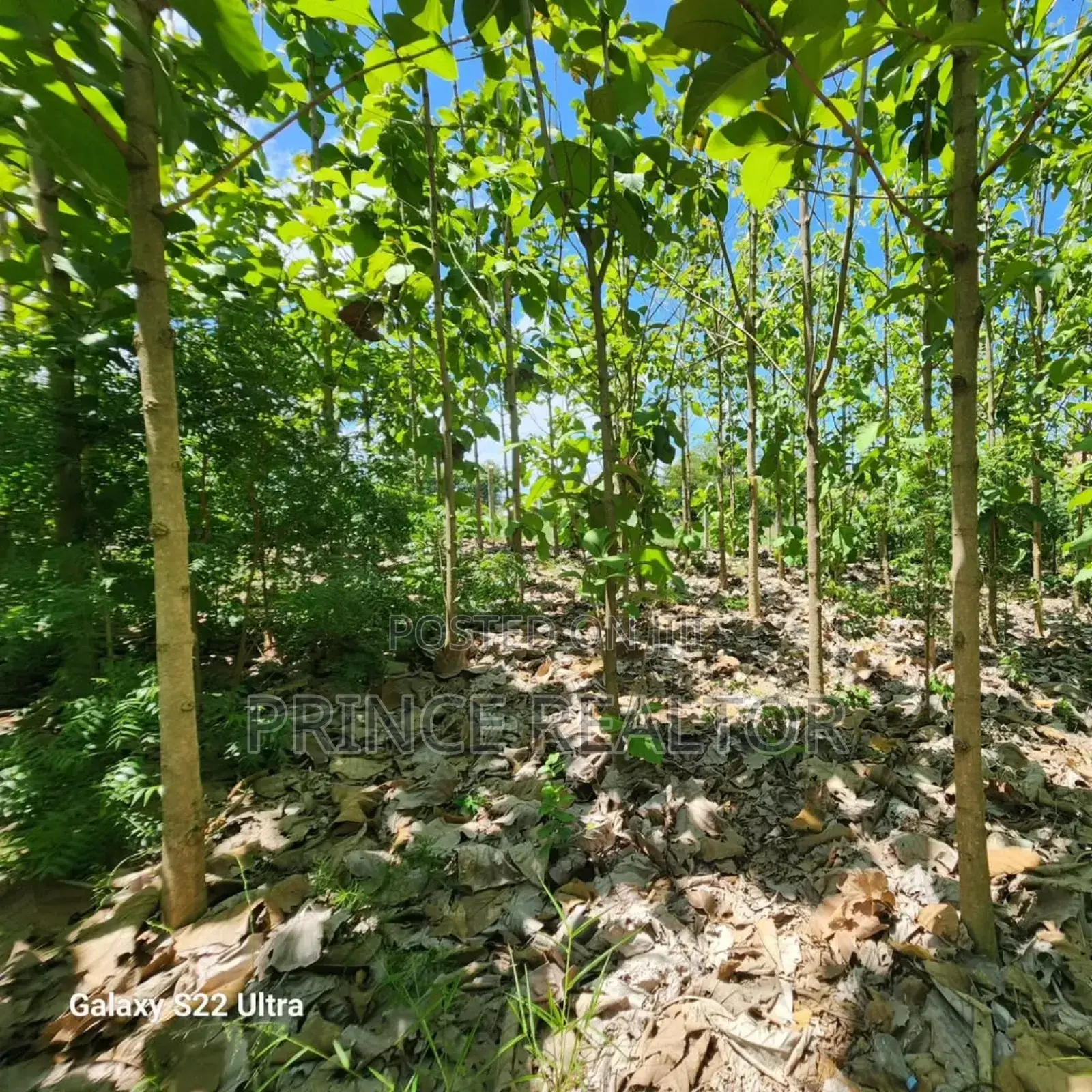 Plot for Sale at Salasala Kinzudi in Kinondoni