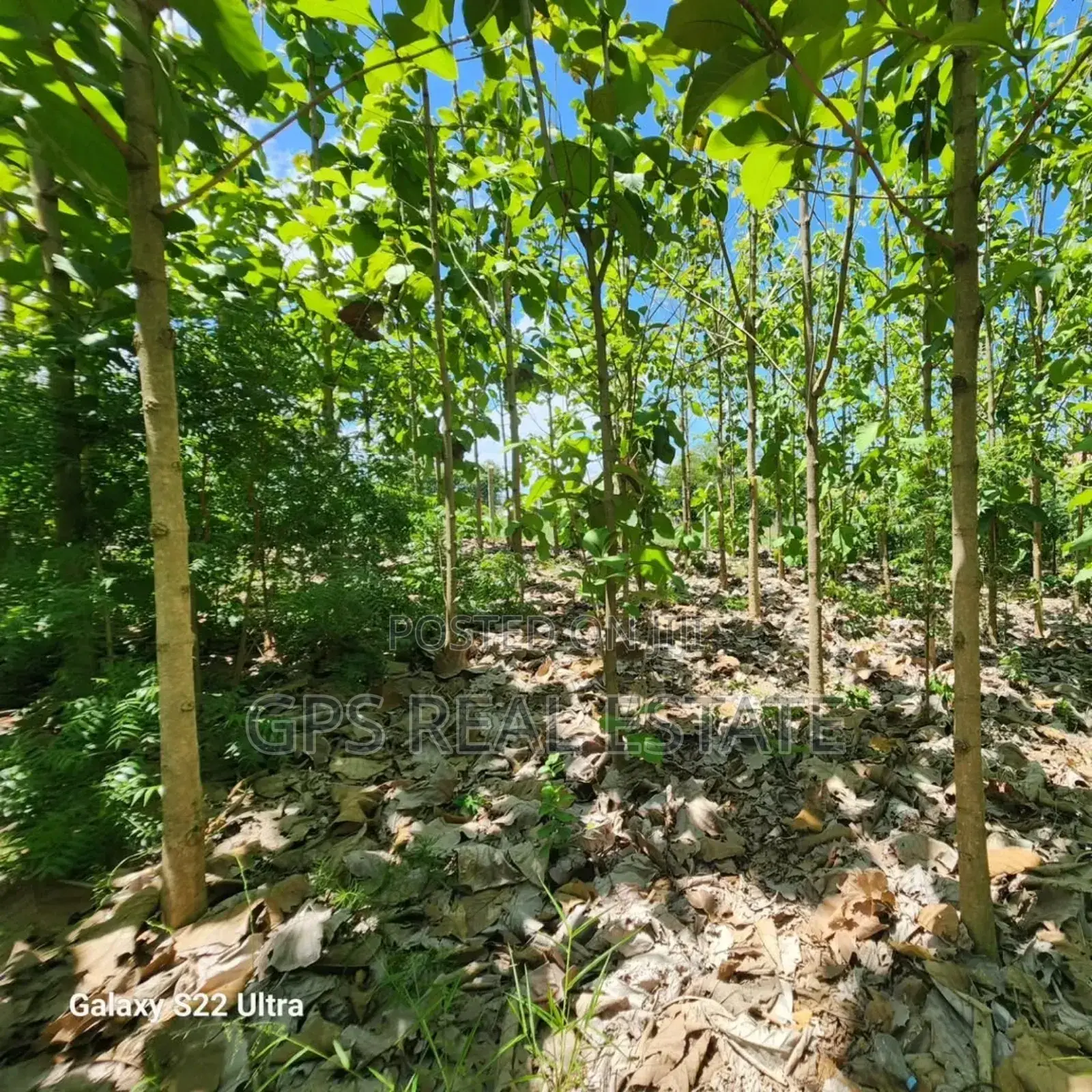 Plot for Sale at Salasala Kinzudi in Kinondoni