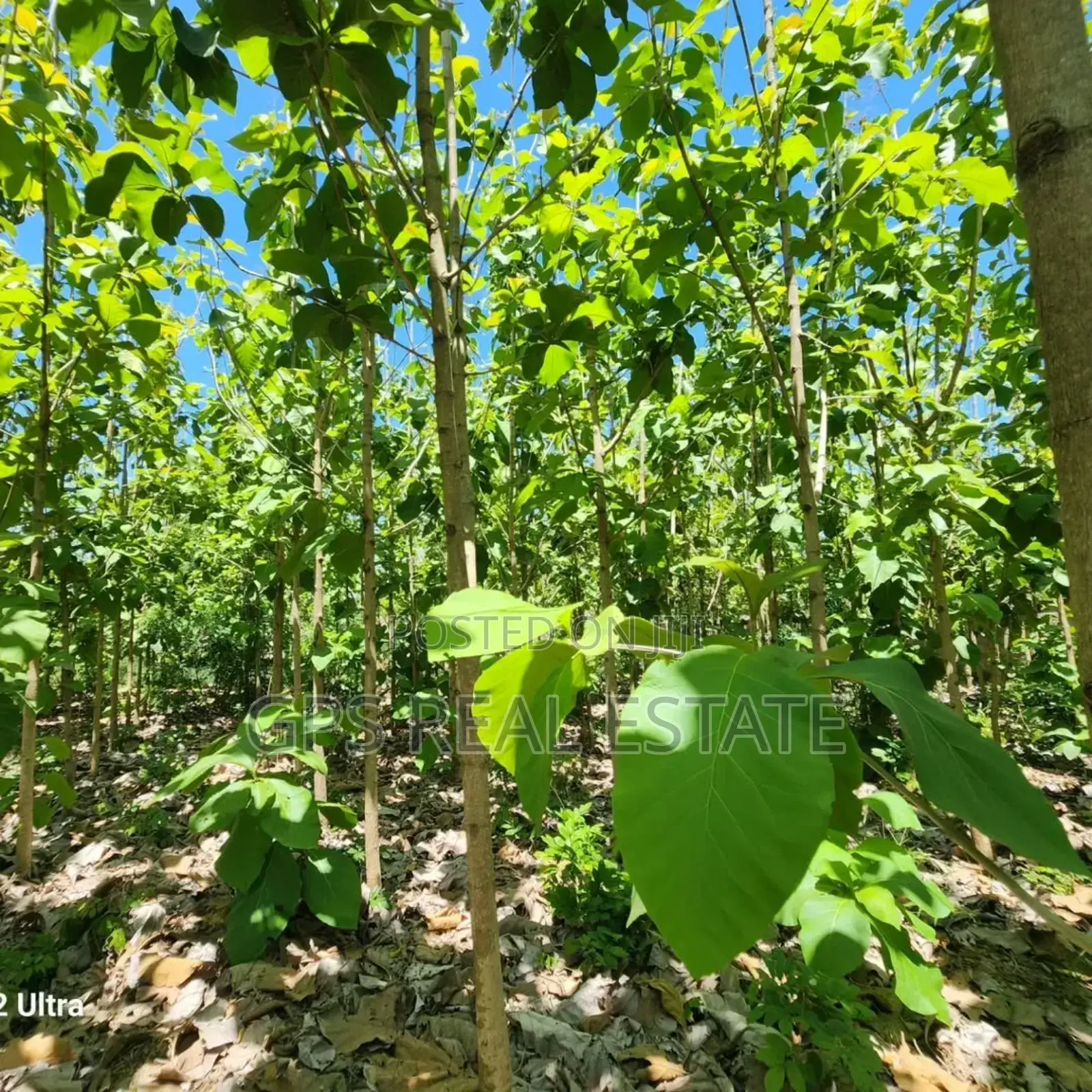 Plot for Sale at Salasala Kinzudi in Kinondoni