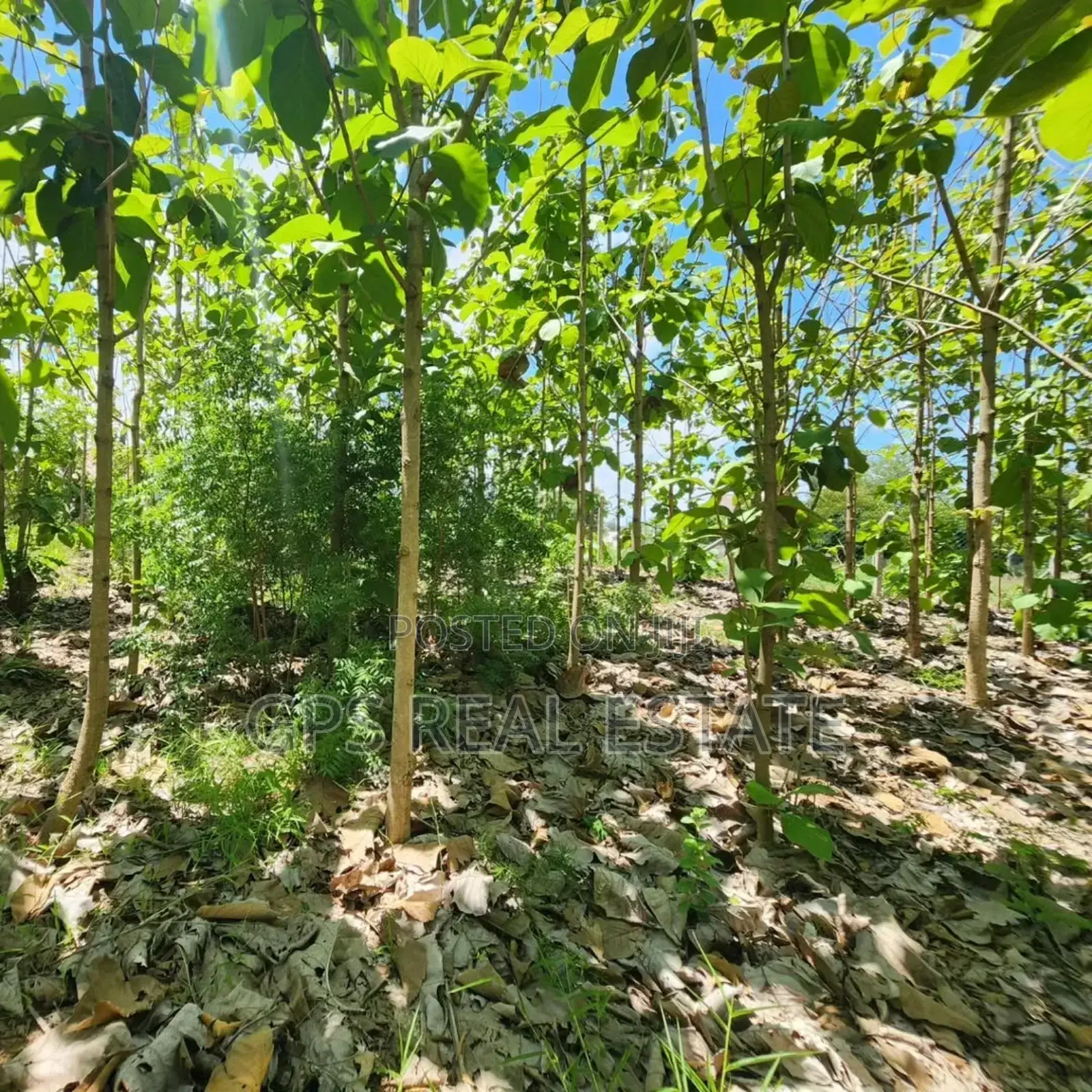 Plot for Sale at Salasala Kinzudi in Kinondoni