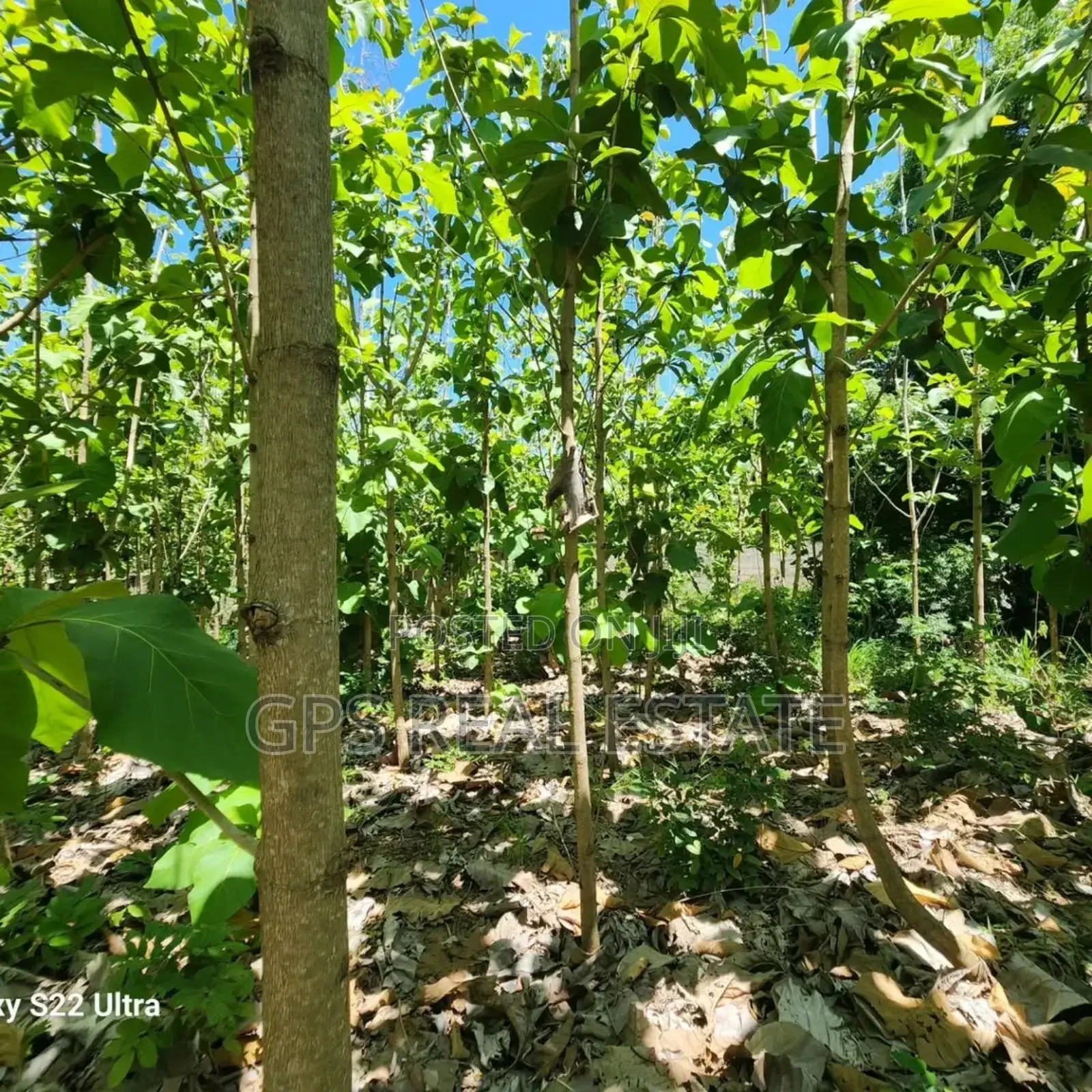 Plot for Sale at Salasala Kinzudi in Kinondoni