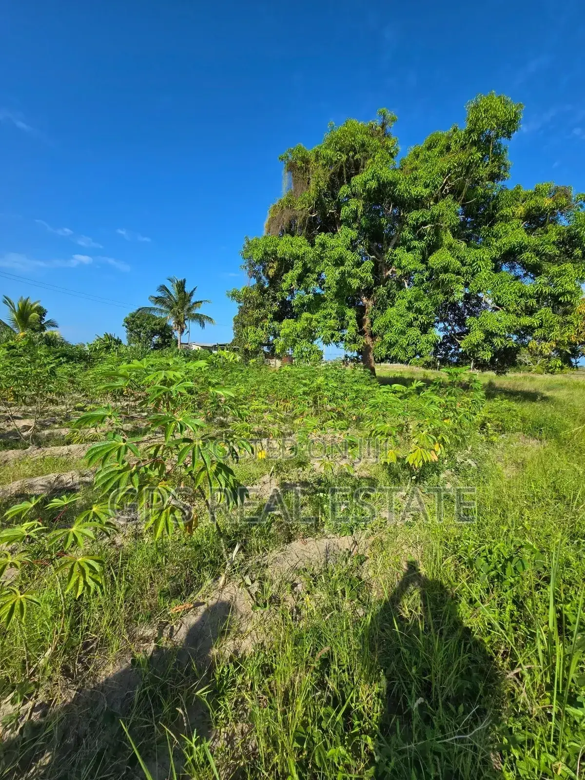 Plot for Sale at Bagamoyo Round About Msata in Bagamoyo