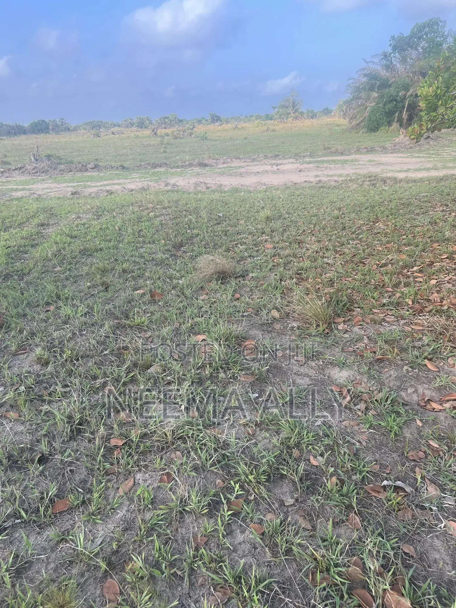 Viwanja Karibu Na Barabara Kuu Puna Chaurembo in Temeke