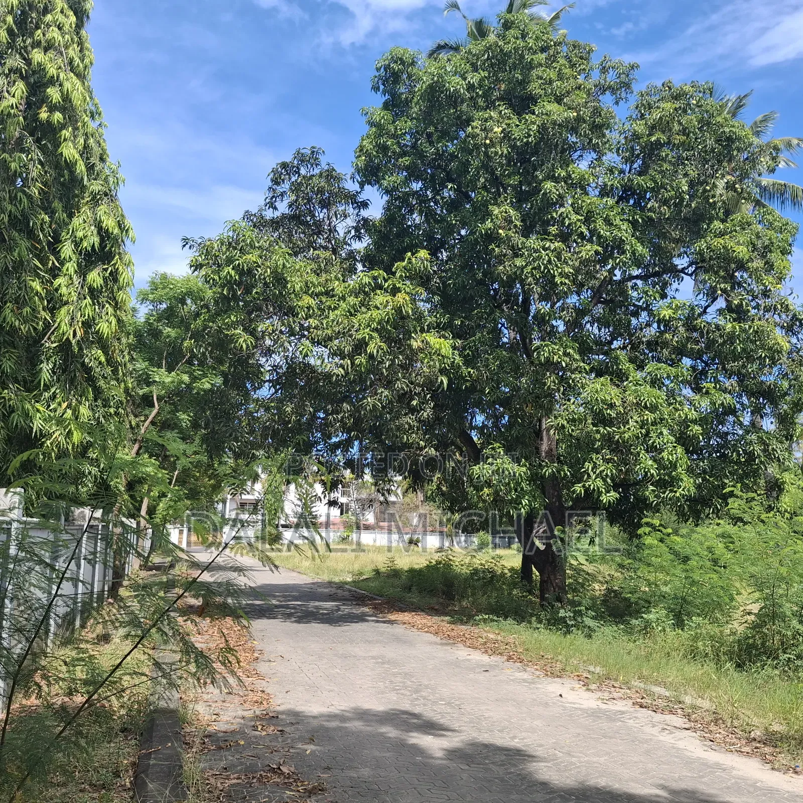 Plot for Sale Msasani Beach! in Msasani
