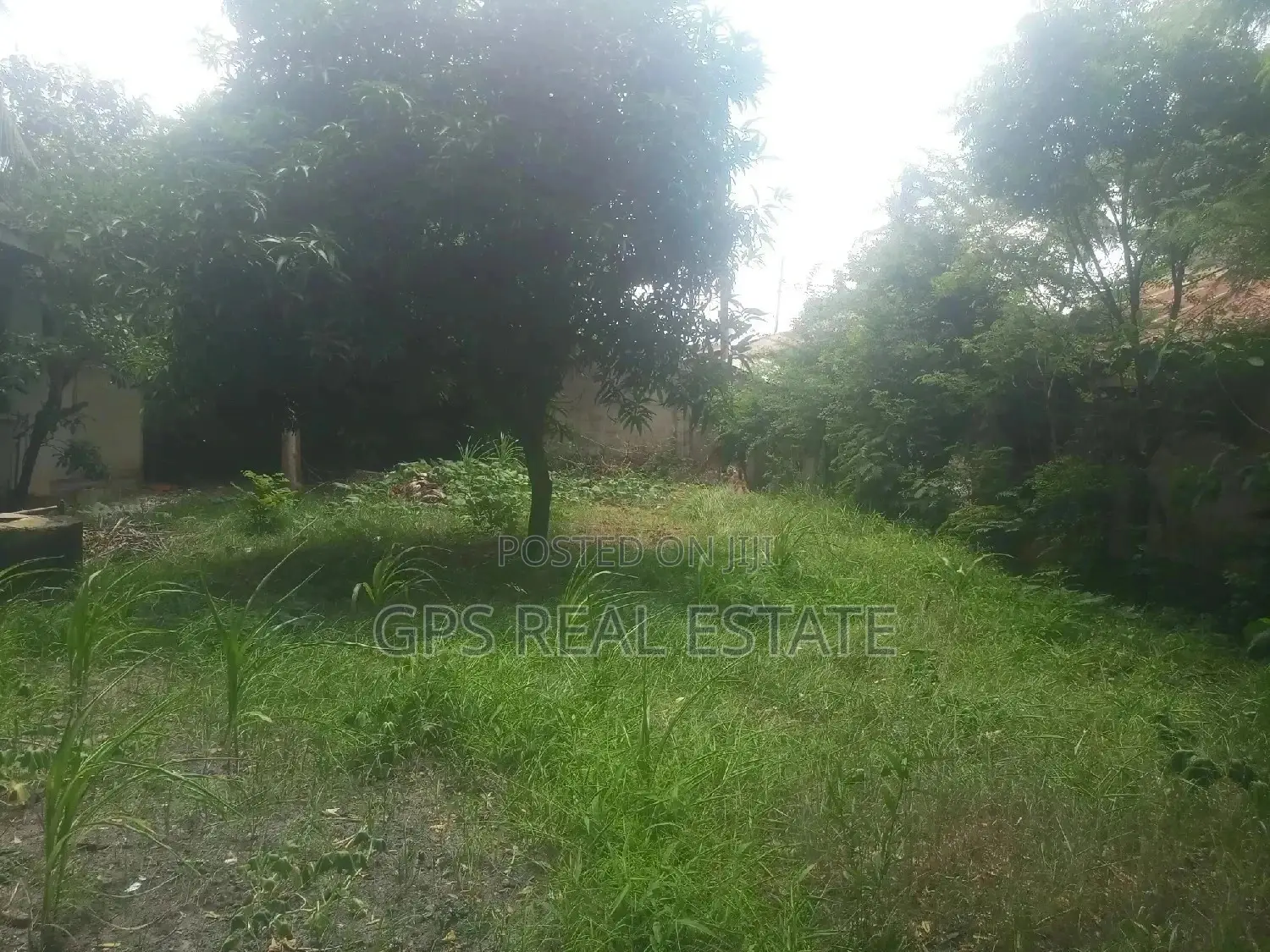 Plot & House For Sale in Ilala