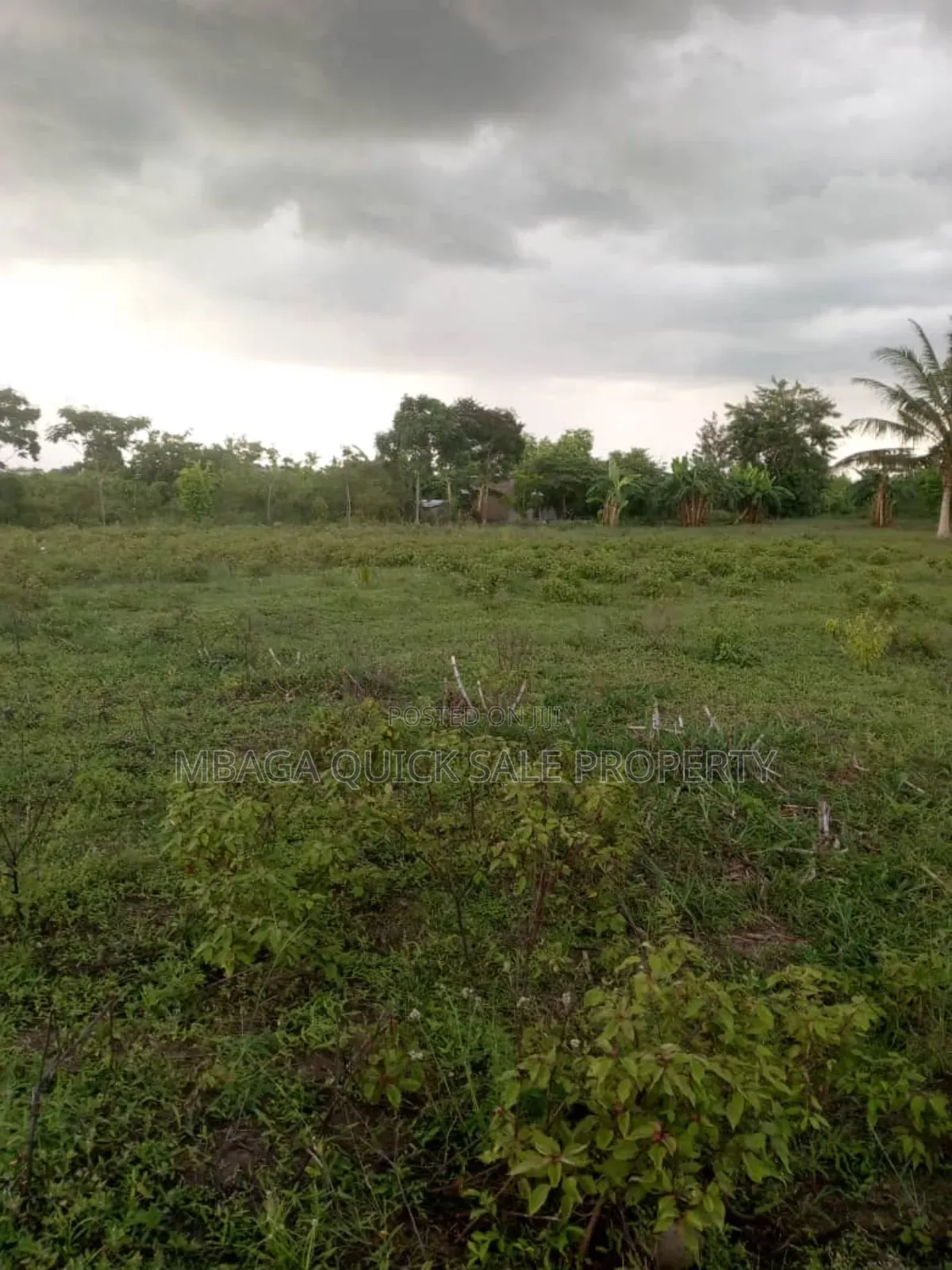 Farm for Sale at Soga Kibaha Pwani Region in Soga