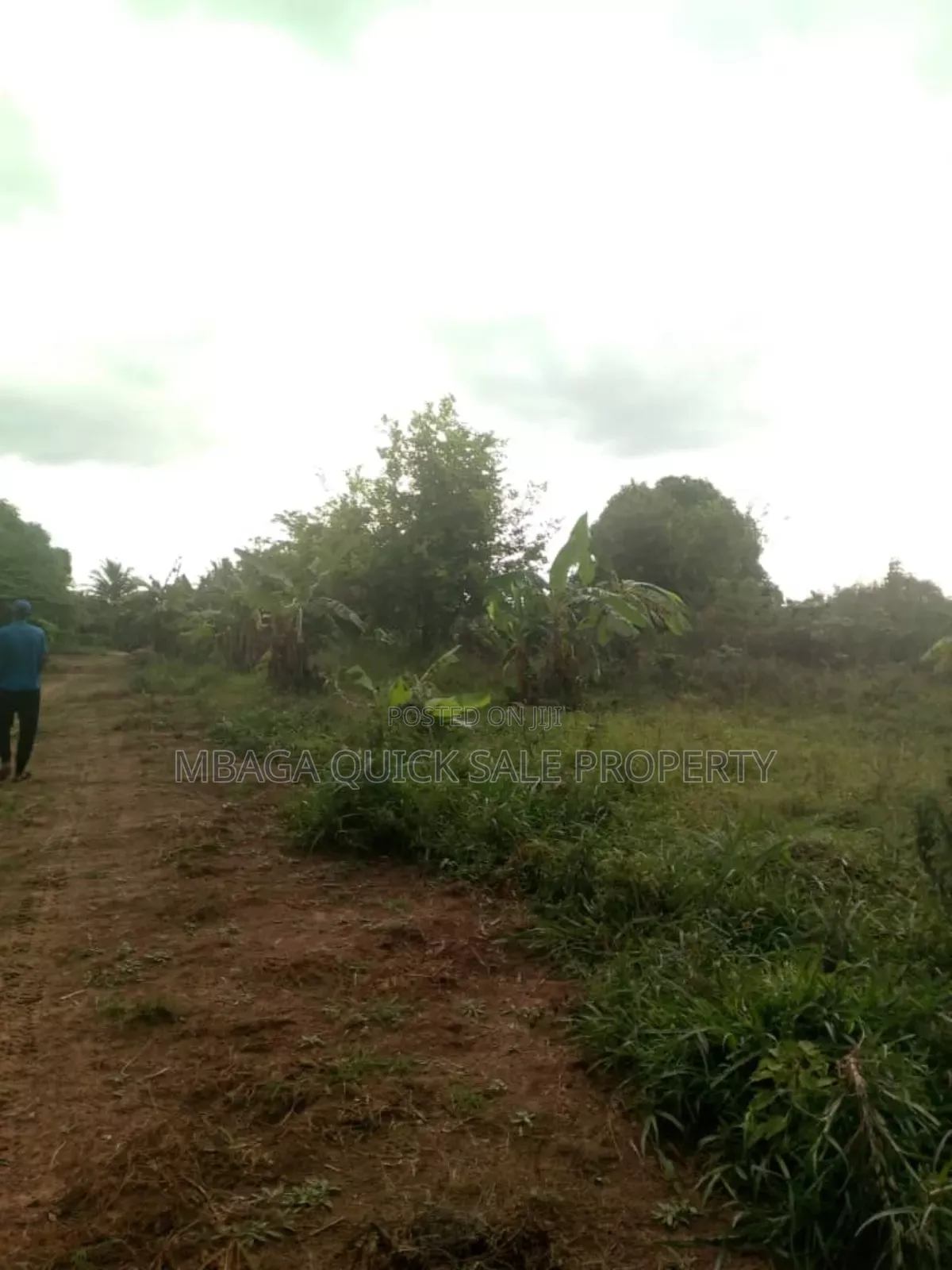 Farm for Sale at Soga Kibaha Pwani Region in Soga