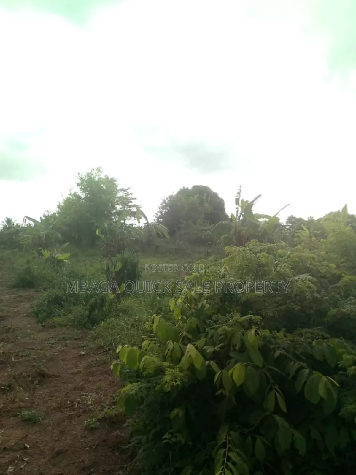 Farm for Sale at Soga Kibaha Pwani Region in Soga
