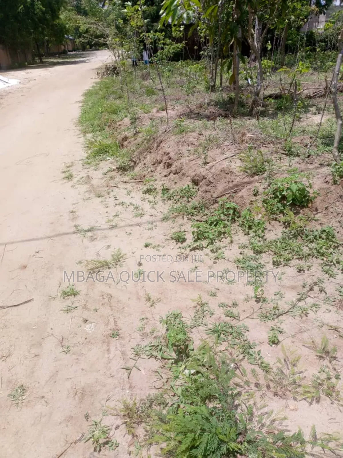 Farm for Sale at Soga Kibaha Pwani Region in Soga